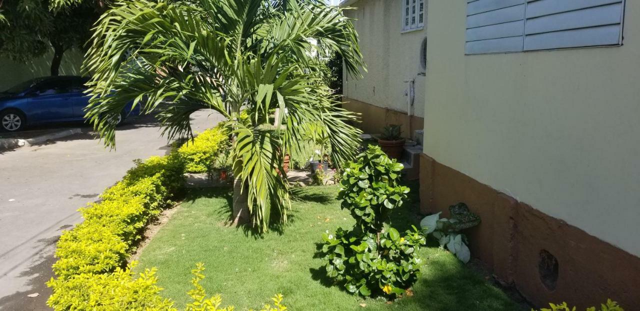 Kingston Hideaway Apartment Luaran gambar